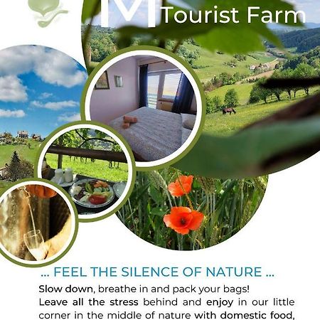 Masnec Tourist Farm Villa Miljana Ngoại thất bức ảnh