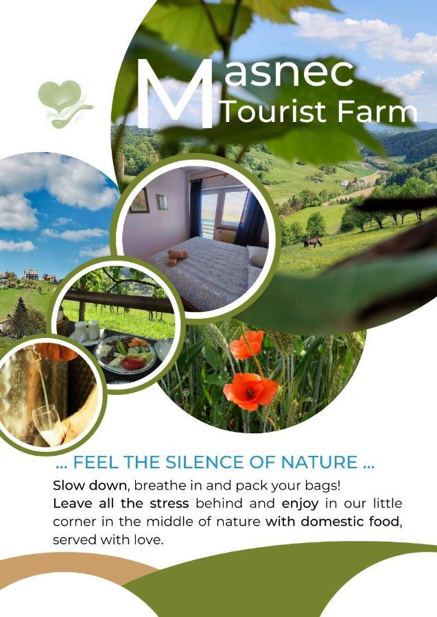 Masnec Tourist Farm Villa Miljana Ngoại thất bức ảnh