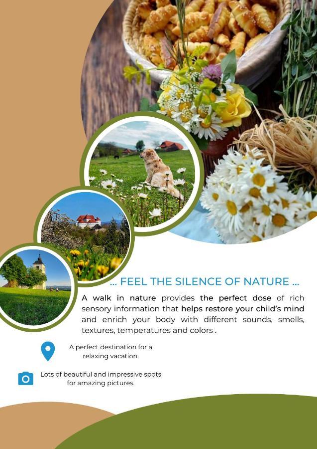 Masnec Tourist Farm Villa Miljana Ngoại thất bức ảnh